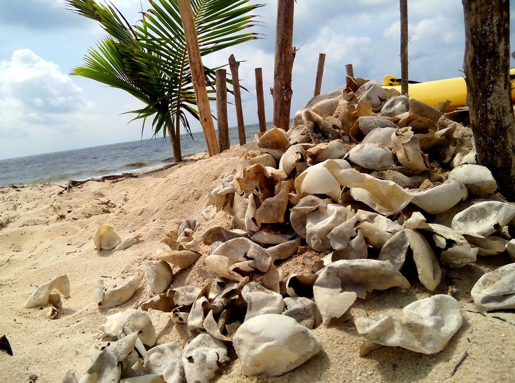Mayan Beach Garden El Placer ภายนอก รูปภาพ